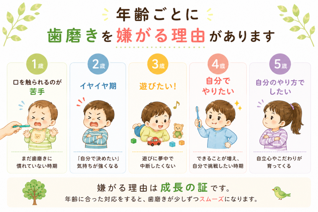 1歳から5歳までの子どもが歯磨きを嫌がる理由を年齢別にまとめた図解
