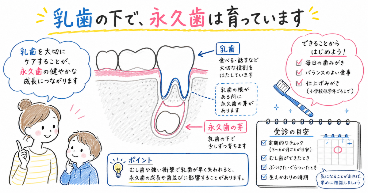 乳歯のむし歯は様子見で大丈夫？永久歯の歯並びへの影響と受診目安